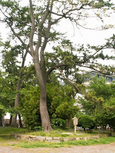 小倉城22
