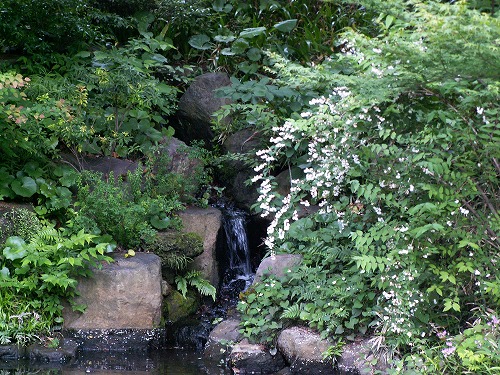 小倉城庭園25