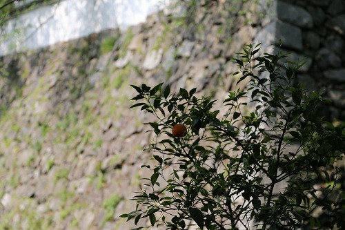 小倉城6