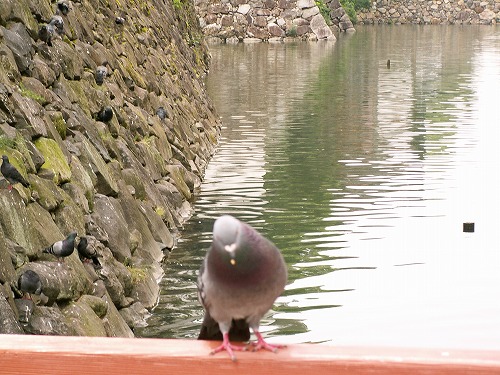 小倉城15