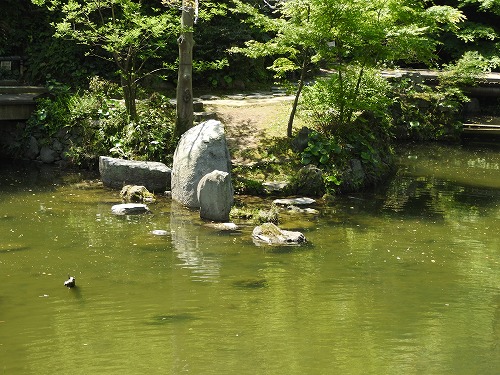 小倉城庭園31