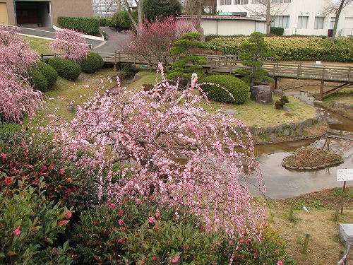 総合農事センター12