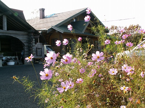 平尾台10