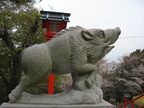 狛猪13