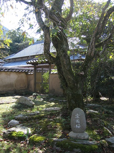 福聚寺4