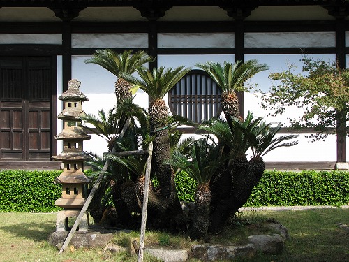 福聚寺11