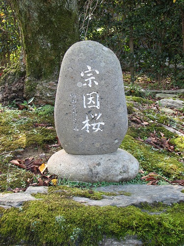 福聚寺14