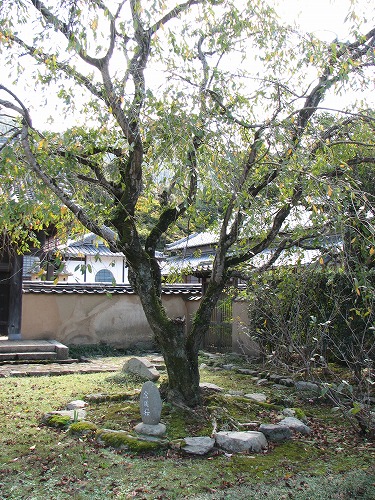 福聚寺15