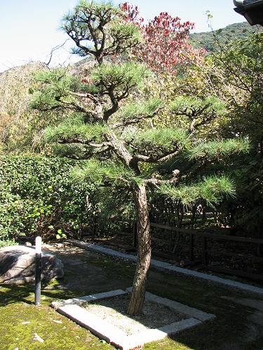 福聚寺16
