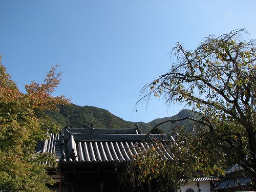 福聚寺24