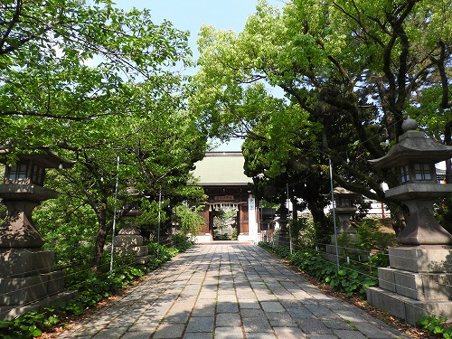 八坂神社2