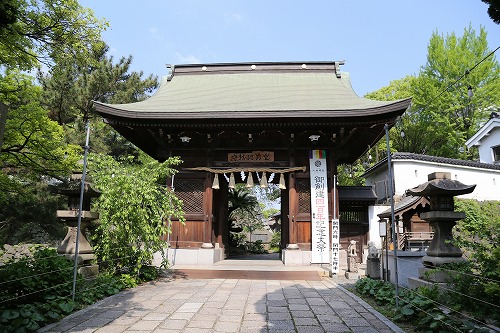 八坂神社14