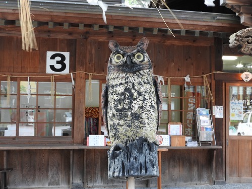 八坂神社4