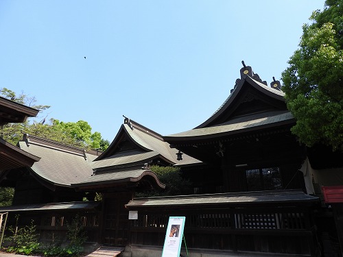 八坂神社13