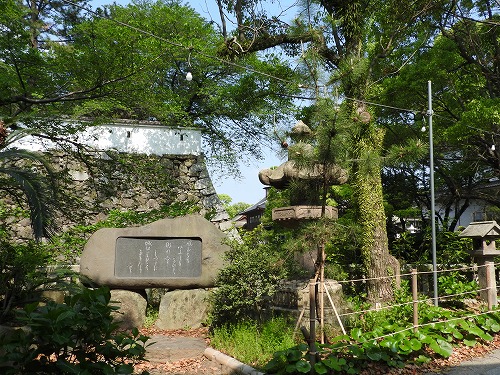 八坂神社4