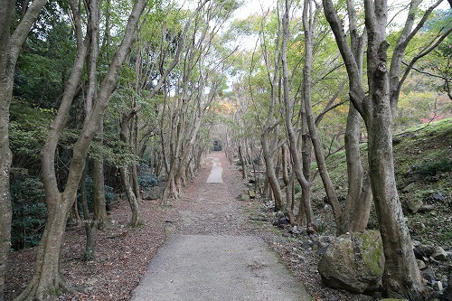 河内藤園1
