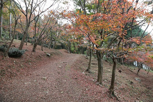 河内藤園3