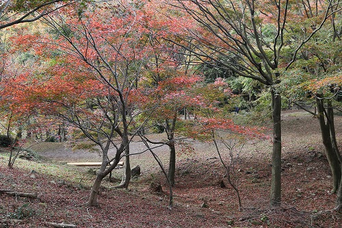 河内藤園7