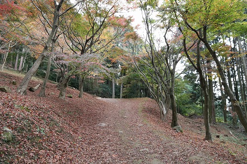 河内藤園8