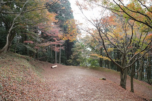 河内藤園11