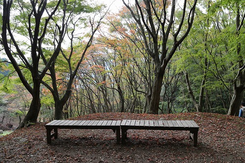 河内藤園12