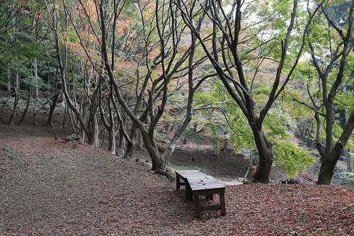 河内藤園13