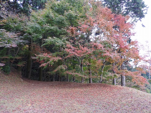 河内藤園21