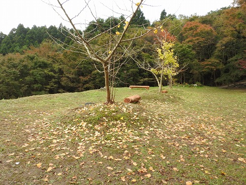 河内藤園23