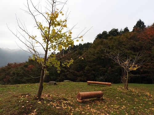河内藤園25