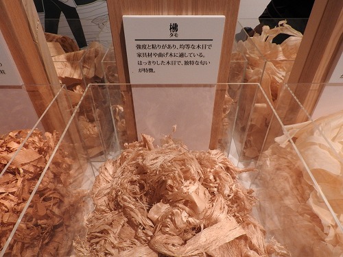 木材13
