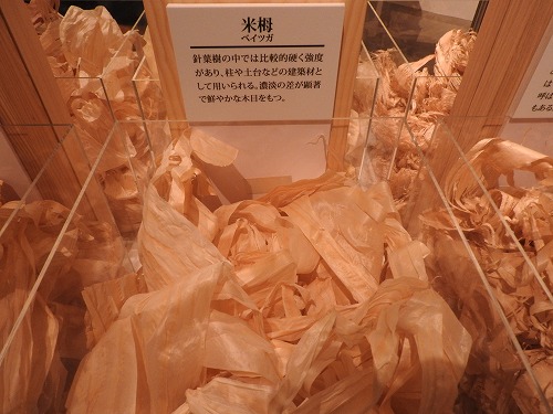 木材16
