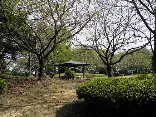 黒崎城跡1
