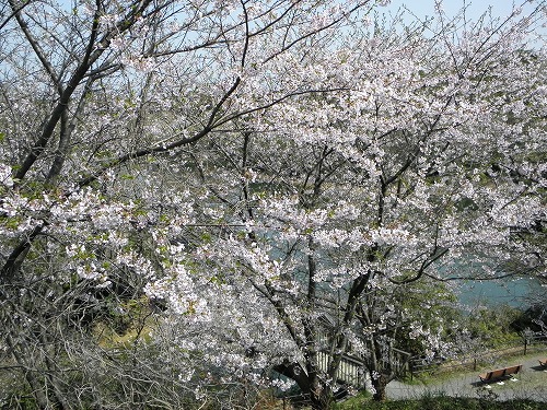 瀬板の森7