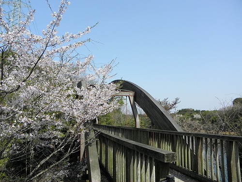 瀬板の森9