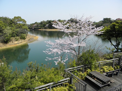 瀬板の森10