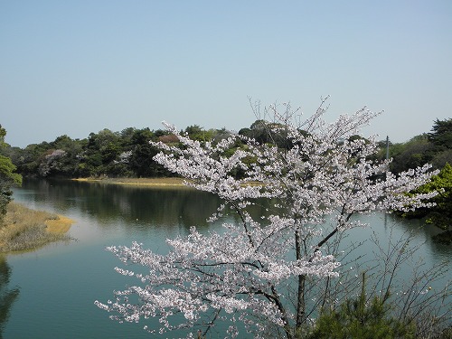 瀬板の森11