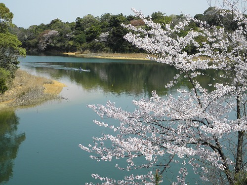 瀬板の森12