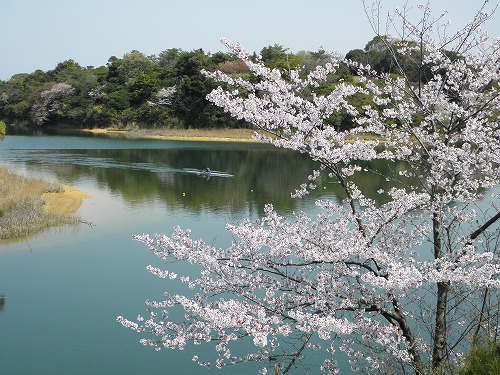 瀬板の森13