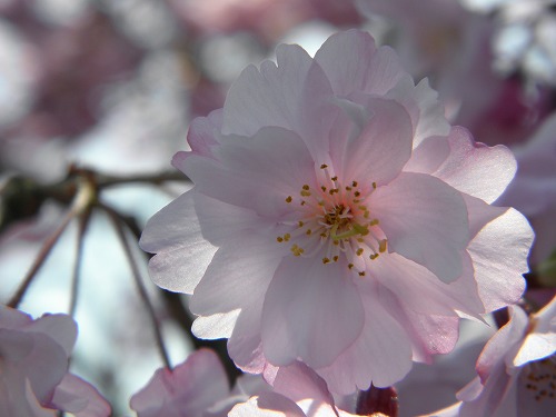 瀬板の森16