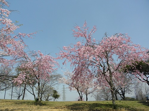 瀬板の森25