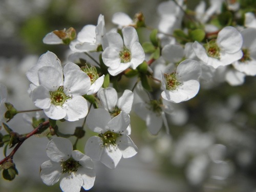 瀬板の森28