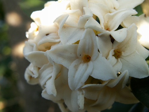 瀬板の森30