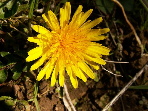 瀬板の森31