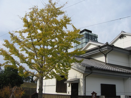 木屋瀬5