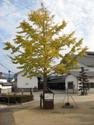 木屋瀬宿記念館5
