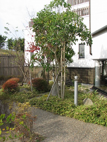 木屋瀬宿記念館6