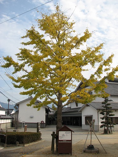 木屋瀬宿記念館7