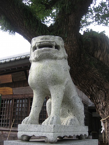 須賀神社1