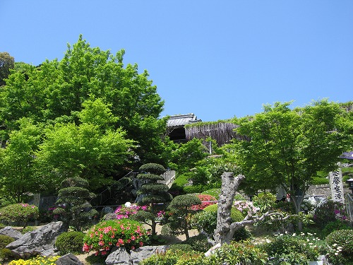 吉祥寺1