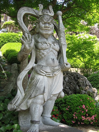 吉祥寺9